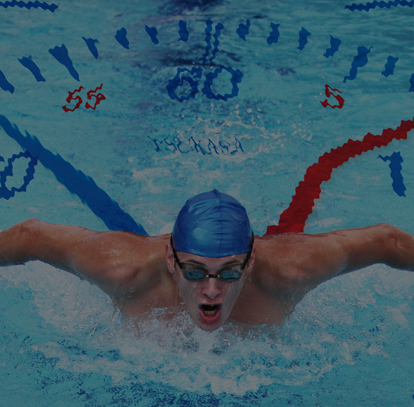 ツカサドルフィン株式会社