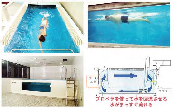 水泳訓練用流水プール（スイムマスター）